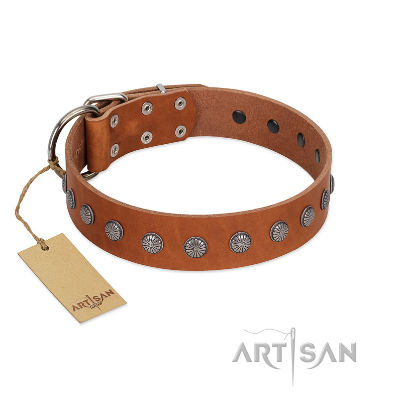 "Little Floret" Fashionable FDT Artisan Tan Leather Golden Retriever Collar with Silver-Like Adornments
