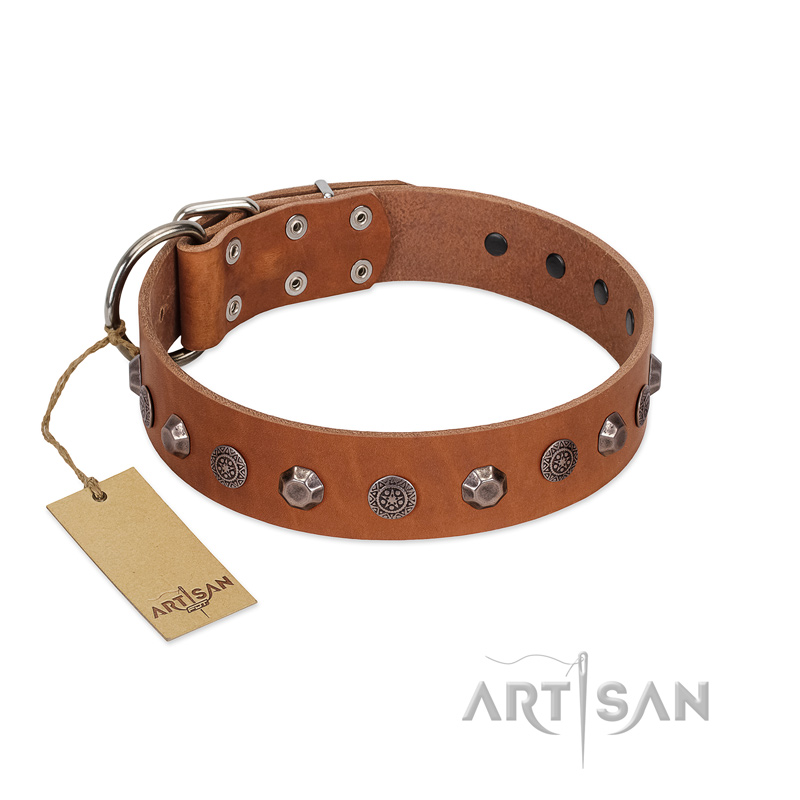 "Silver Age" Fashionable FDT Artisan Tan Leather Golden Retriever Collar with Silver-Like Studs