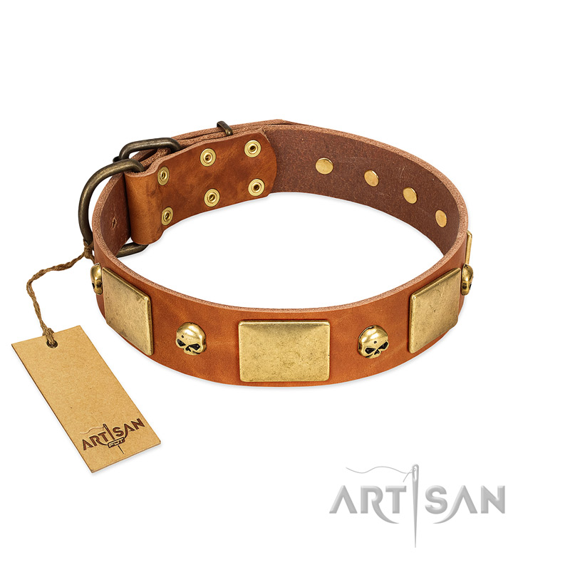 "Mutt The Daredevil" FDT Artisan Tan Leather Golden Retriever Collar with Old Bronze-like Skulls and Plates