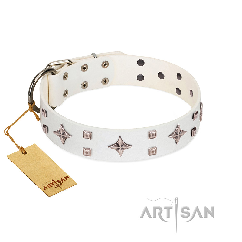 retriever adjustable collar