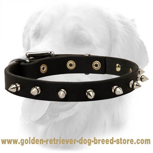 Beautiful Leather Collar With Shiny Spikes