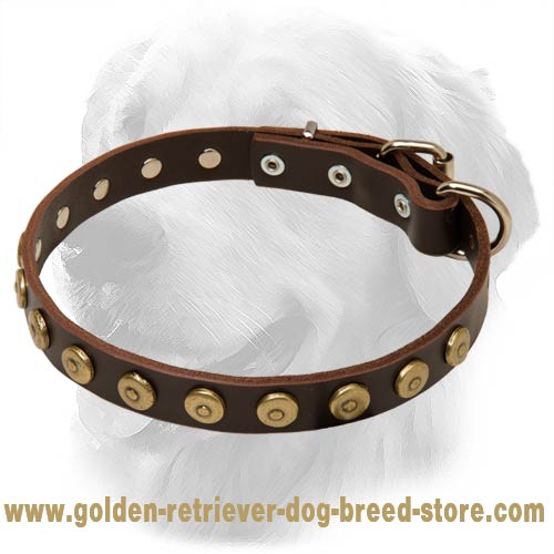 Golden Retriever Leather Collar Brass Dotted Circles