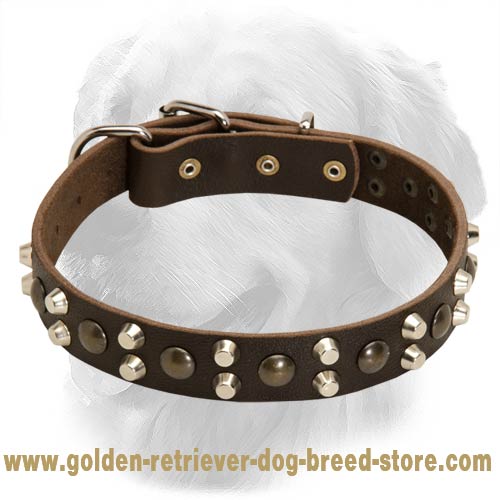 Golden Retriever Leather Collar Studs Pyramids