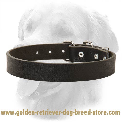 Simple Leather Collar for Walking And Training 30 mm