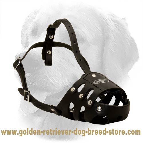 Everyday Golden Retriever Secure Leather Muzzle