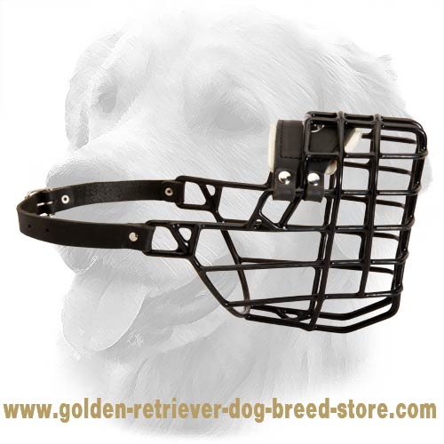 Wire Cage Muzzle - Perfect For Winter