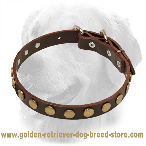 Golden Retriever Leather Collar Small Brass Circles
