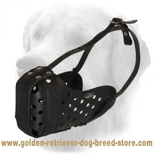Light-Weight Handcrafted Leather Muzzle