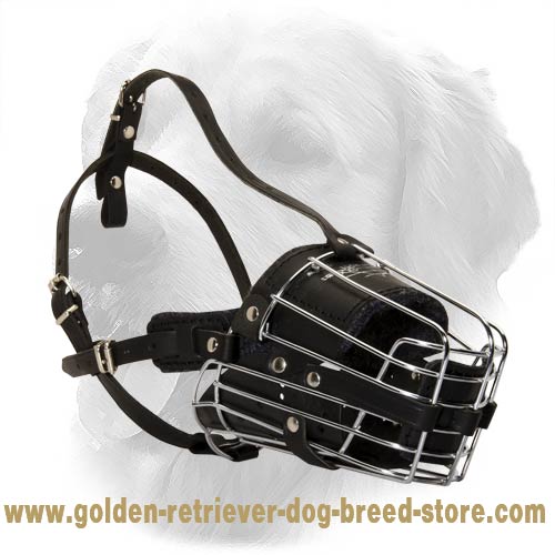 Durable And Comfortable Muzzle For Adventures