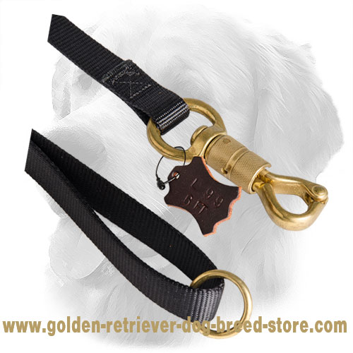 Smart Lock on Golden Retriever Nylon Leash
