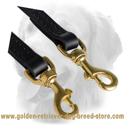 Solid Snap Hooks on Golden Retriever Leather Coupler