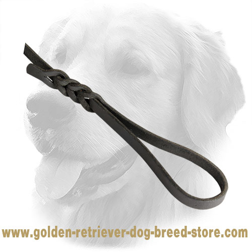 Convenient Handle on Leather Golden Retriever Leash