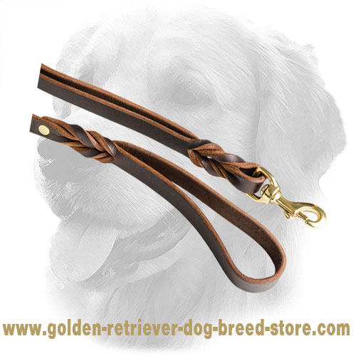 Braids on Golden Retriever Leather Leash