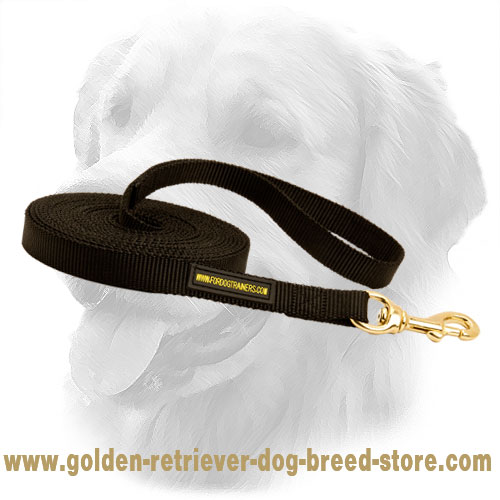 Golden Retriever Dog Nylon Leash Bad Weather