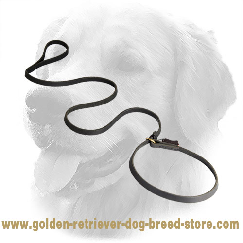 Leather Golden Retriever Leash and Choke Collar Combo