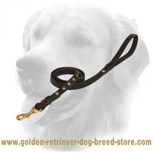  Golden Retriever Leash with Fancy Studs