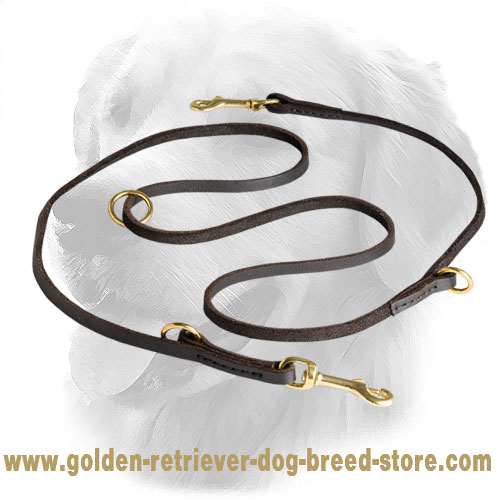 Golden Retriever Leash for Many Activities