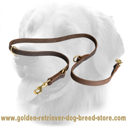 Golden Retriever Leash with Regulated Length