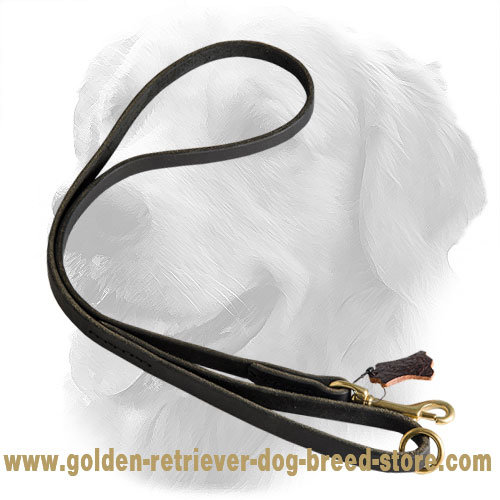 Stitched Golden Retriever Leash with Brass Snap Hook