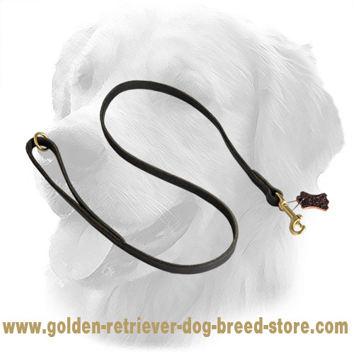 Traditional Stitched Golden Retriever Leash