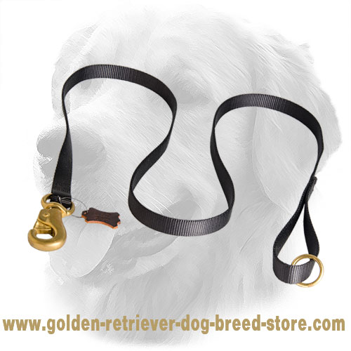 Golden Retriever Leash with Brass Hardware