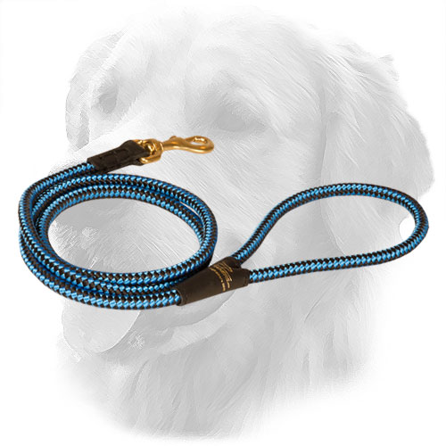 Nylon Golden Retriever Leash with Unique Ornament