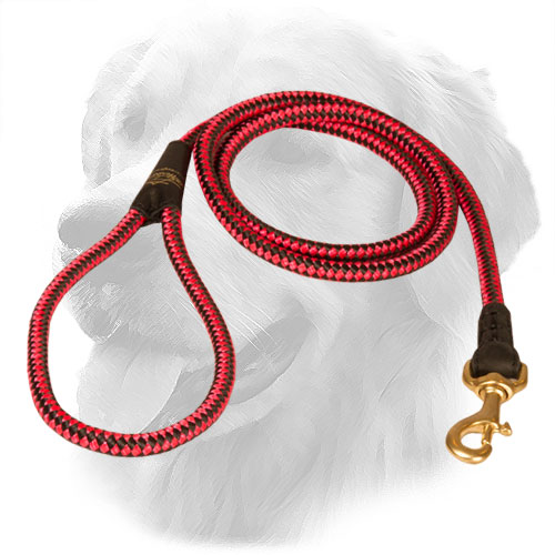Golden Retriever Leash Nylon Cord