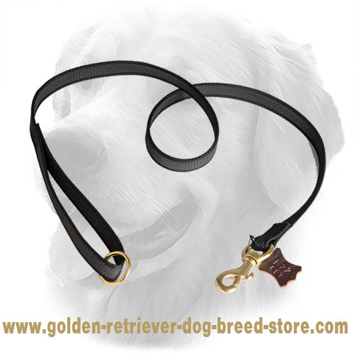 I-Grip Dog Leash of Nylon