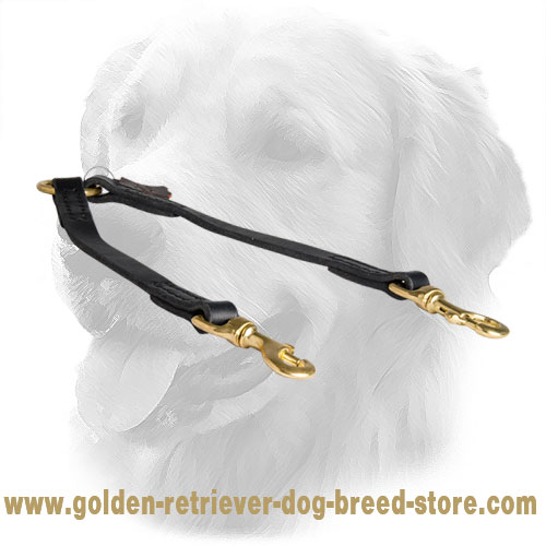 Golden Retriever Leather Coupler Stitched for Durability