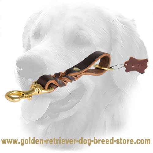 Golden Retriever Leather Leash with Fancy Braids