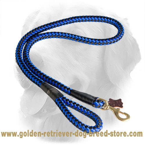 Golden Retriever Nylon Leash with Chess Design