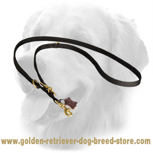 Golden Retriever Nylon Leash for Different Dog Activities