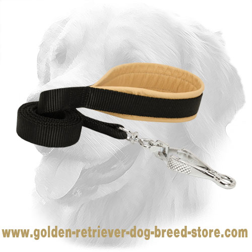 Golden Retriever Nylon Leash with Convenient Handle