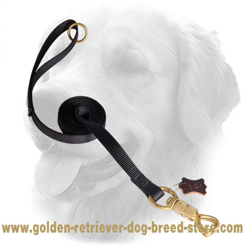 Golden Retriever Nylon Leash for Military Service