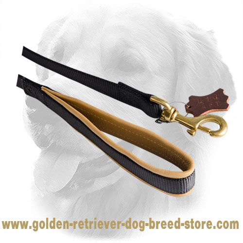 Nappa Padded Handle on Golden Retriever Nylon Leash