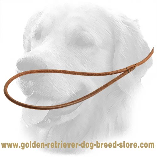 Durable Handle on Golden Retriever Leash 