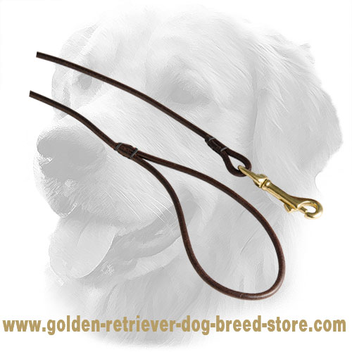 Brass Snap Hook on Leather Golden Retriever Leash