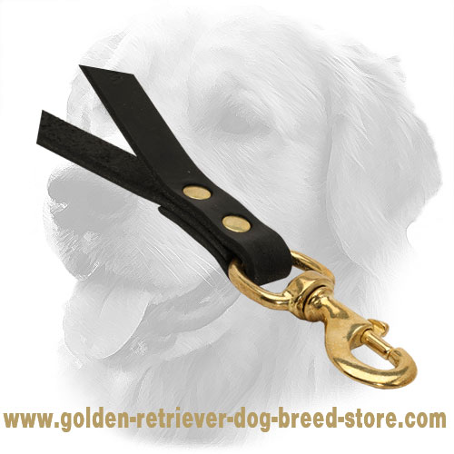 Solid Brass Snap Hook on Golden Retriever Leather Leash