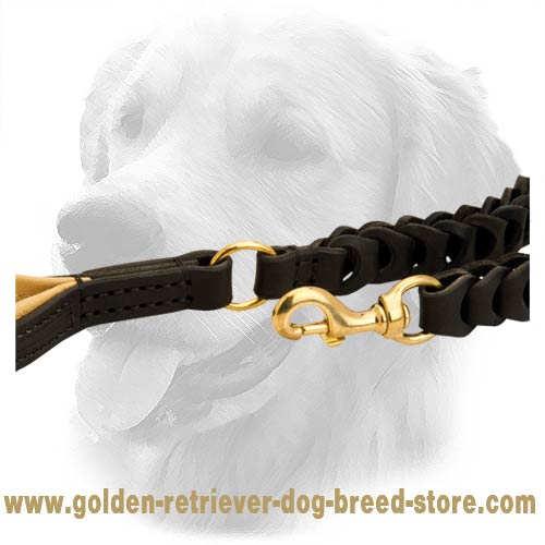 Brass Fittings on Leather Golden Retriever Leash