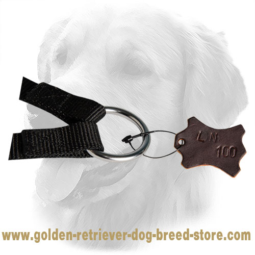 Solid D-Ring on Nylon Golden Retriever Coupler 