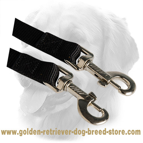 Solid Snap Hooks on Nylon Golden Retriever Coupler