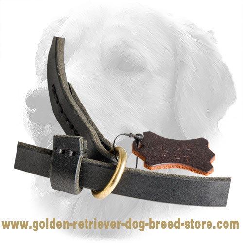 Brass O-Ring on Leather Golden Retriever Slip Leash