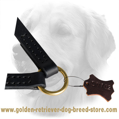 Brass O-Ring on Golden Retriever Leather Coupler