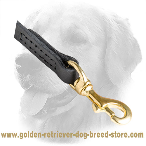 Strong Snap Hook on Leather Golden Retriever Leash 