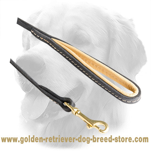 Strong Snap Hook on Leather Golden Retriever Leash 