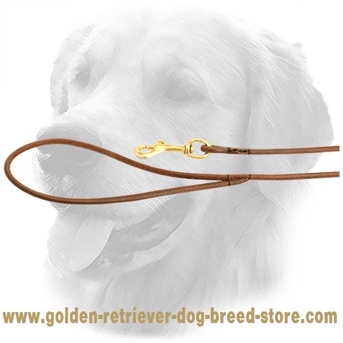 Solid Snap Hook on Golden Retriever Leash