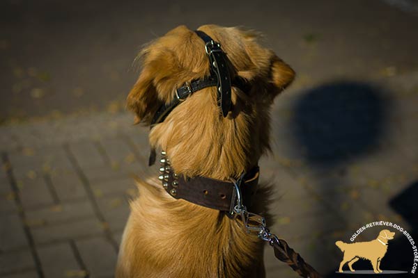 Adjustable Golden Retriever Muzzle for Snug Fit