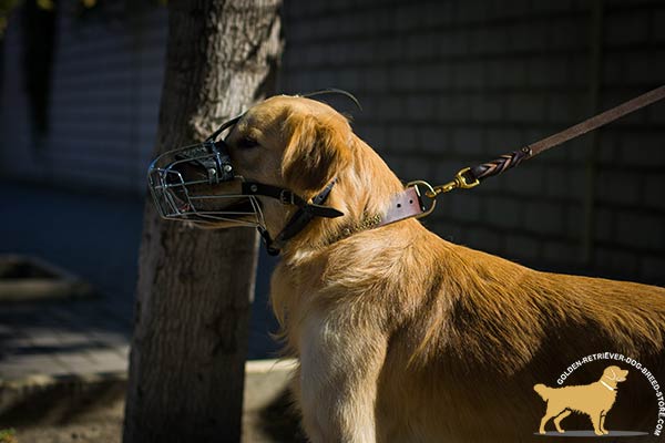 Ventilated Basket Muzzle for Golden Retriever Safe Walking