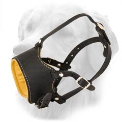 Leather Muzzle with Unique Design