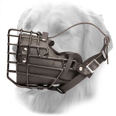 Leather Harness for Cold Weather with Adjustable Straps